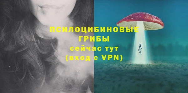 тгк Абаза