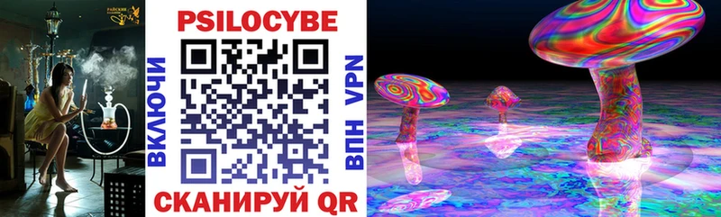 Псилоцибиновые грибы Psilocybine cubensis  hydra как войти  Курск 