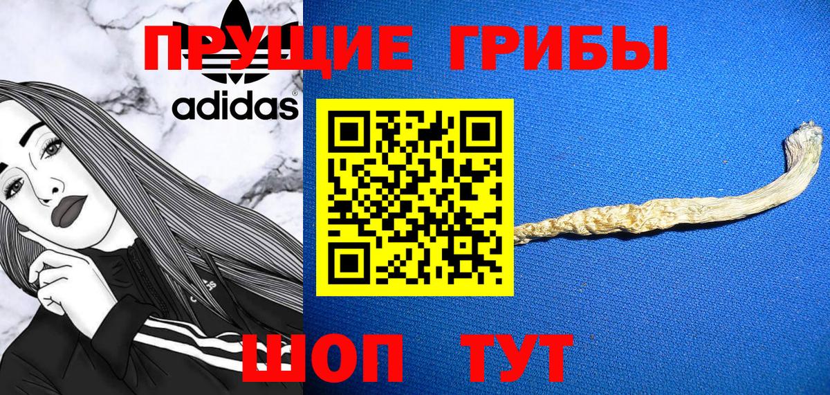 Галлюциногенные грибы Psilocybine cubensis Курск